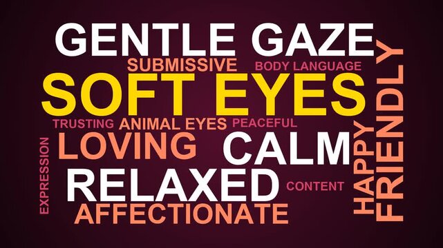 Soft Eyes Word Cloud