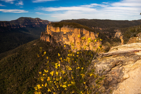 Sandstone cliffs above eucalyptus forest at Hanging Rock, Baltzer Lookout, in Blue Mountains National Park, New South Wales, Australia.