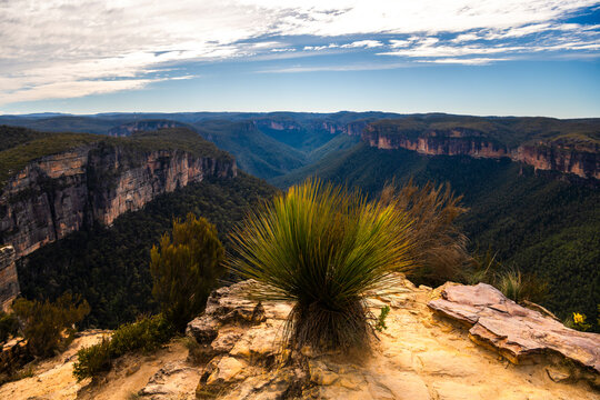 Sandstone cliffs above eucalyptus forest at Hanging Rock, Baltzer Lookout, in Blue Mountains National Park, New South Wales, Australia.
