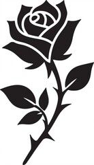 Obraz premium 11.black and white rose