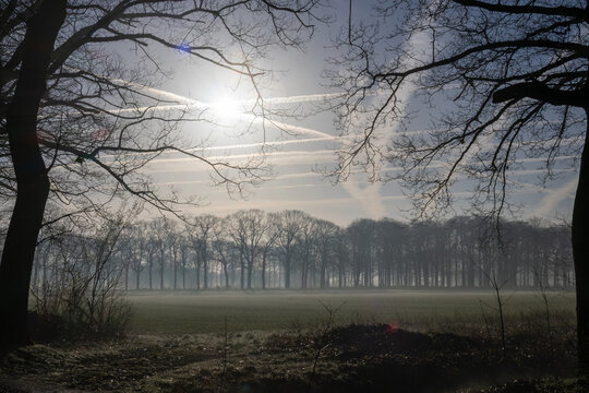 Misty Winter Landscape with Bare Trees, Sunlight and Contrails Over a Foggy Rural Field
