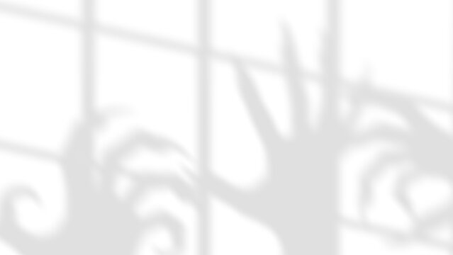 Skeletal shadow fingers, bony long nails on window PNG