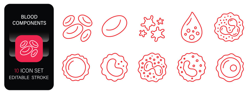 
Blood cells doodle illustration including icons - erythrocyte, platelet, basophil, monocyte, leukocyte, lymphocyte, eosinophil.

