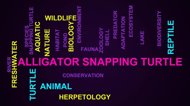 Alligator Snapping Turtle Word Cloud