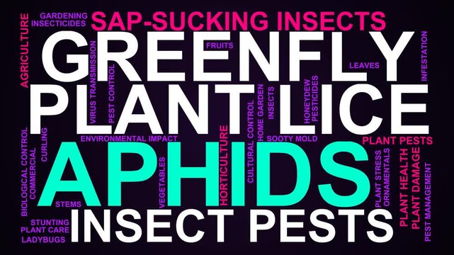 Aphids Word Cloud