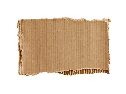A piece of torn corrugated cardboard isolated on transparent background