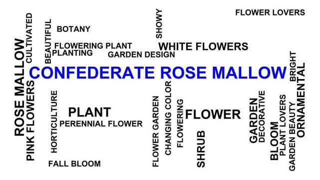 Confederate Rose Mallow Word Cloud