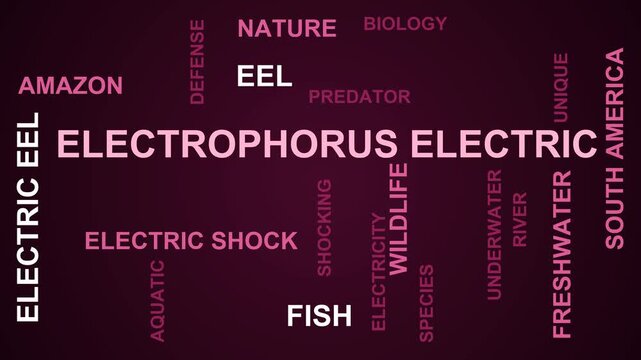 Electrophorus Electric Word Cloud