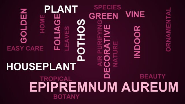 Epipremnum Aureum Word Cloud