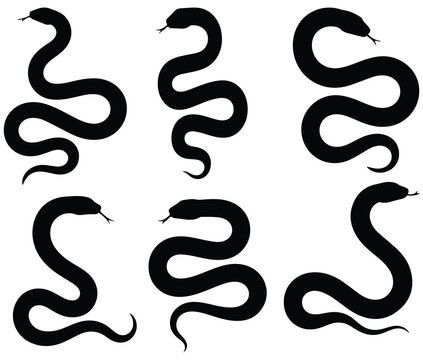 Set of black snake silhouettes isolated on white