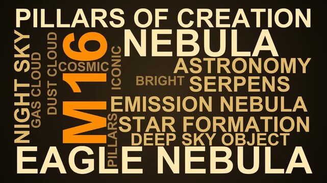 M16 Word Cloud