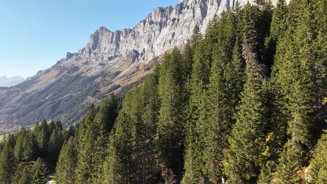 Drone shot at Susten area in Switzerland. Massive rockface and forest at a sunny day.