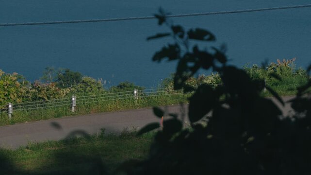 Deep blue lake viewed through silhouetted grass from the shade of trees overlooking a sloping road
