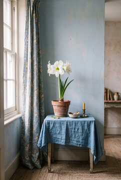 Wabi-sabi minimalist interior with white flowers and blue linen cloth