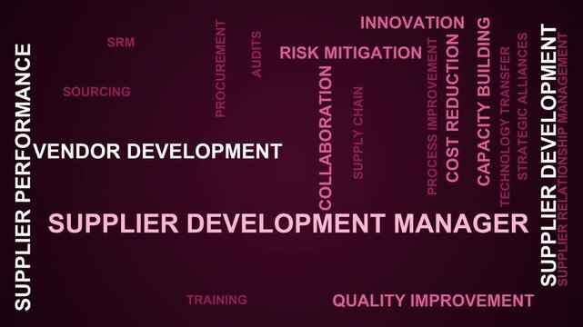 Supplier Development Manager Word Cloud