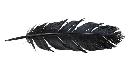 Single dark black bird feather with a visible quill and delicate barbs, isolated on a clean white background © no one