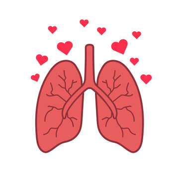 Flat illustration of lungs surrounded by heart symbols