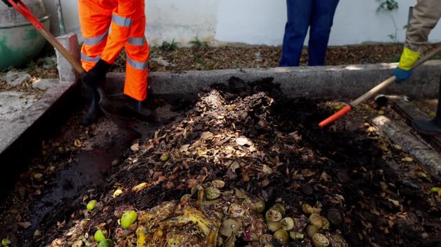 Unrecognizable workers in safety gear use shovels and rakes to turn a pile of urban and agro-industrial organic waste, part of a sustainable circular agribusiness model in Mexico. This process contrib