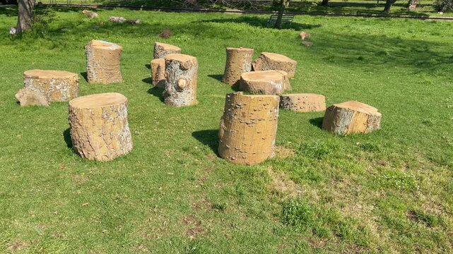 A cluster of cut tree trunk sections stand upright and on their sides on a grassy lawn, repurposed as natural stools or playground seating. The logs vary in height and diameter, with weathered bark