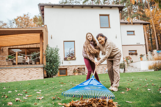 Raking autumn leaves in garden.