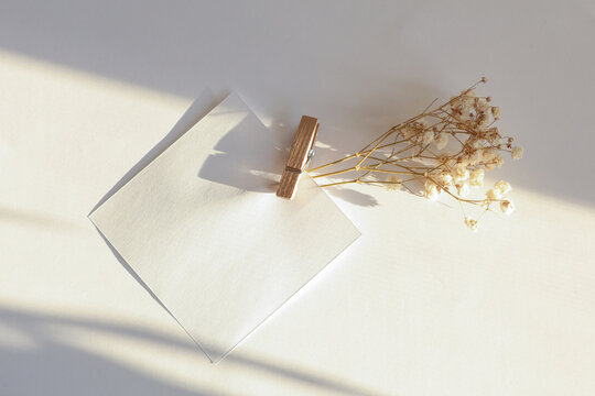 Blank white memo card with clothespin, dry grass on white background. Natural sunlight with shadow. Business concept. Top view