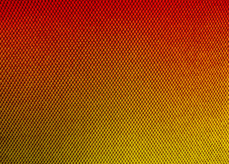 Obraz premium Vibrant Red to Yellow Gradient Carbon Fiber Mesh Grid Texture Surface Background
