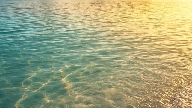 Serene View of Tranquil Water Surface Reflecting Soft Golden Sunlight During Sunset