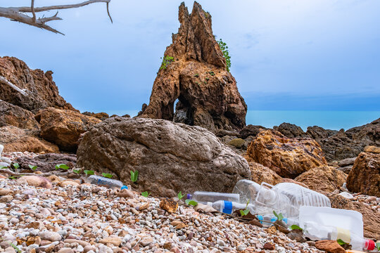 Discarded plastic bottles and litter scatter across a rocky shore, spotlighting coastal pollution and urging cleanup, conservation, and ocean protection.