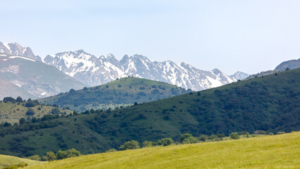 Obraz premium Snow-capped peaks rise behind rolling green hills