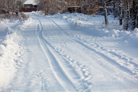 Snowy path winds through quiet, wooded winter landscape