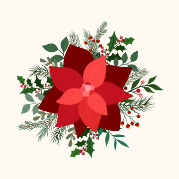 Christmas Poinsettia Floral Arrangement with Winter Foliage. Festive Christmas arrangement with red poinsettia flowers, berries and green winter foliage. Botanical holiday illustration for cards