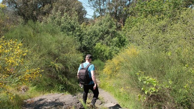 Man hiking on a downhill forest trail