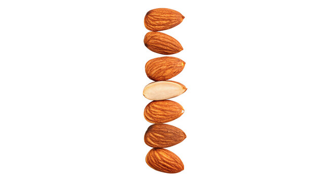 Vertical border row of raw whole brown almonds isolated on transparent background