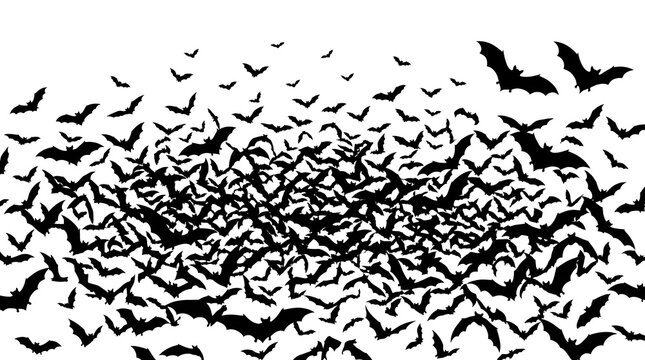 Swarm of flying bats silhouette. Black vector animals on white background