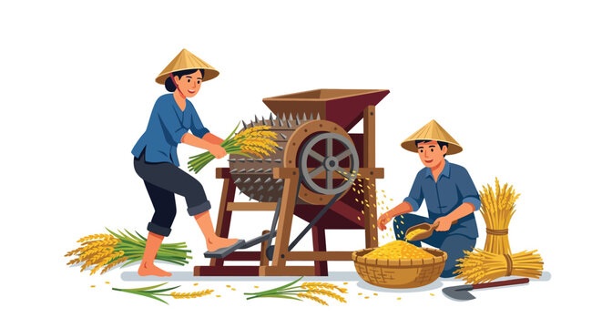 Farmers threshing rice with a traditional machine vector illustration