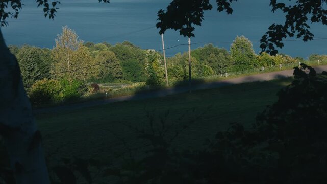 Downhill Road with Utility Pole Overlooking Lake from Mountain Shadow
