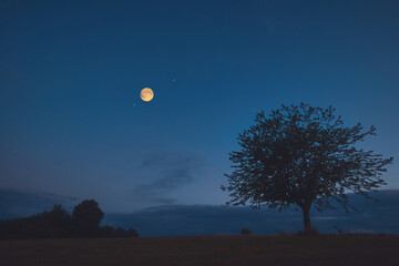 Full Moon, stars and planets above landscape silhouettes in blue hour time. © astrosystem