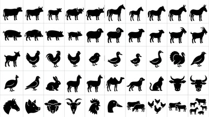 Obraz premium Modern Farm Animal Solid Silhouette Collection with Livestock, Poultry, Horses, Cattle, Sheep, Goats, Pigs and Rural Animals