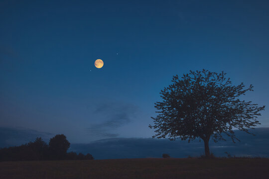 Full Moon, stars and planets above landscape silhouettes in blue hour time.
