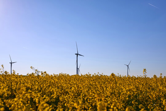Wind turbines at sunset in green field &ndash; renewable energy, clean power, sustainable future.