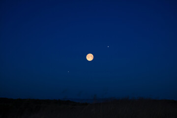 Fototapeta premium Full Moon on a twilight sky with landscape silhouettes.