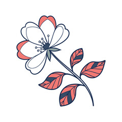 Fototapeta premium Delicate outline blossom with coral and navy leaves on a white background clean design for branding