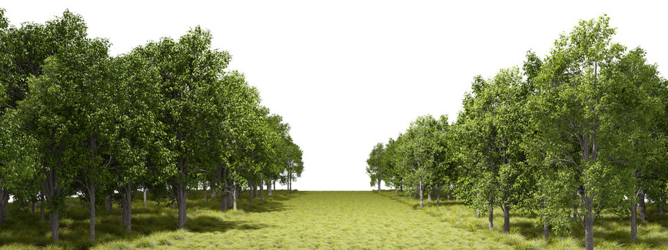 Nature path eco freeway isolation backgrounds 3d rendering png