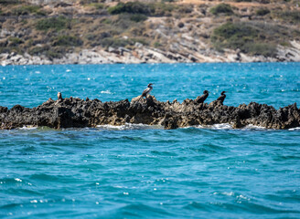 Beautiful mountain landscapes against the backdrop of the sea in summer on the island of Crete. © константин константи