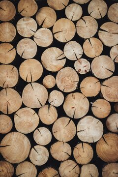 Full frame background texture of stacked wood logs showing circular cross sections with tree rings and cracks