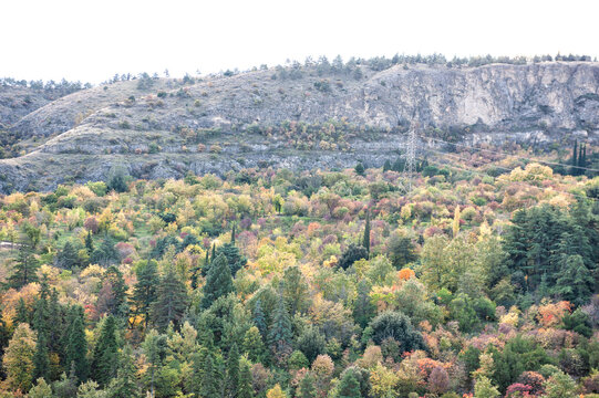 Autumn forest covers a scenic mountain valley
