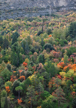 Autumn forest covers a scenic mountain valley