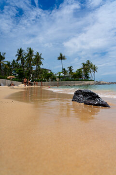 Serene Beach Scene with Golden Sand, Clear Blue Sky, and Lush Palm Trees Framing a Calm Tropical Paradise Landscape