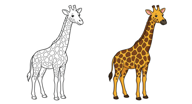 Giraffe illustration with a colored and uncolored version on a white background