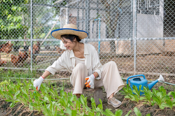 Asian woman farmer harvesting green leafy vegetables near chicken coop. © bongkarn